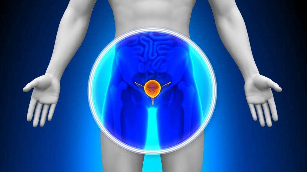 Jak się przygotować do USG prostaty przez powłoki brzuszne